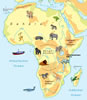 Afrika geografisch